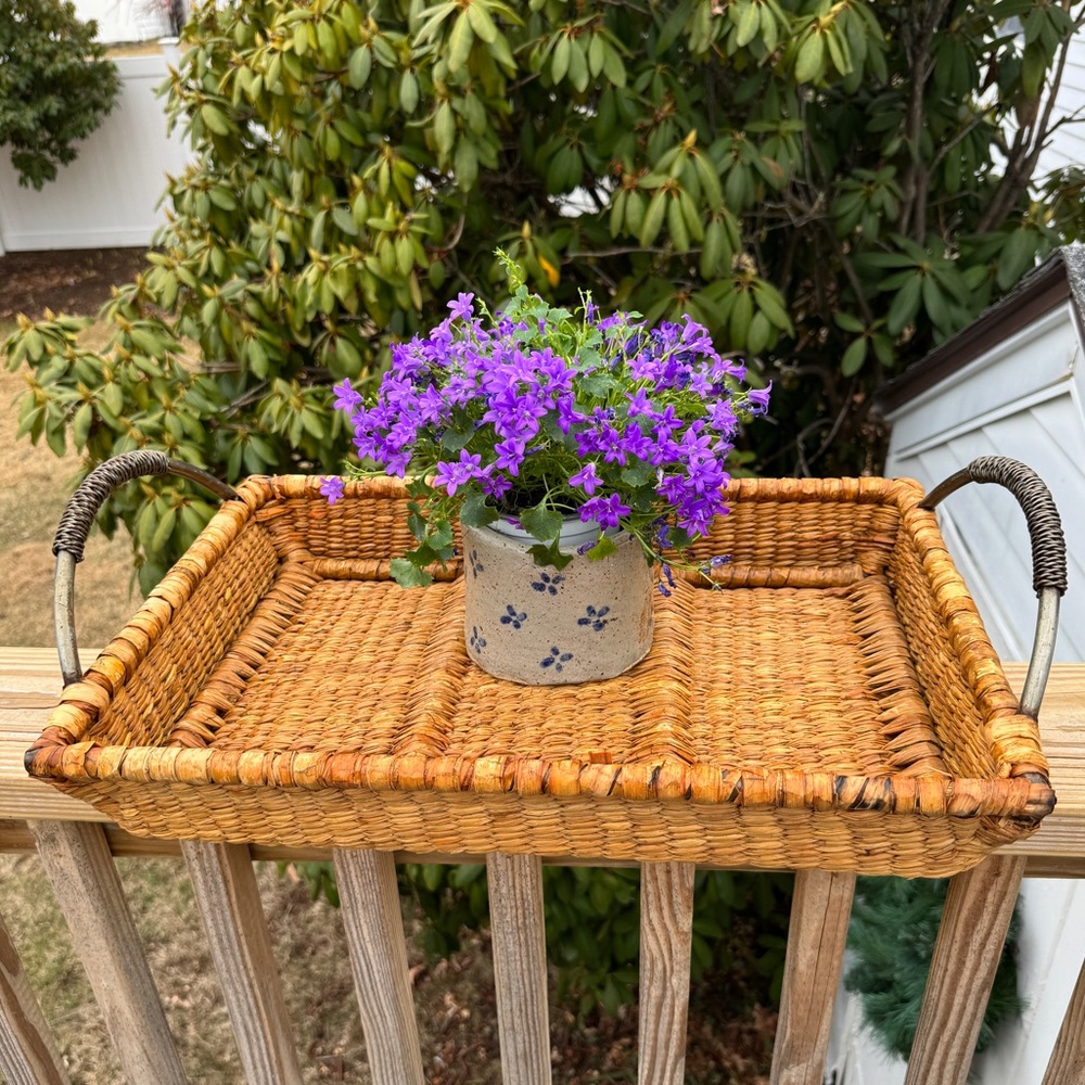 Sturdy Tray/Basket with Handles
